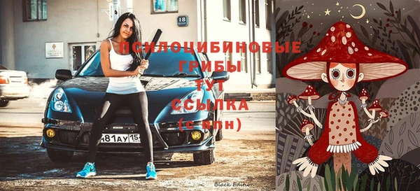стафф Михайловск