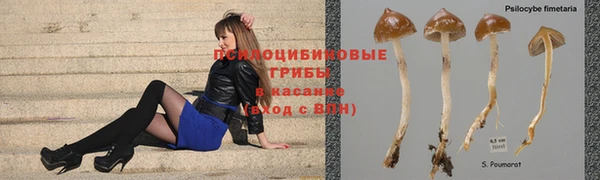 мескалин Михайловка