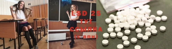 стафф Михайловск