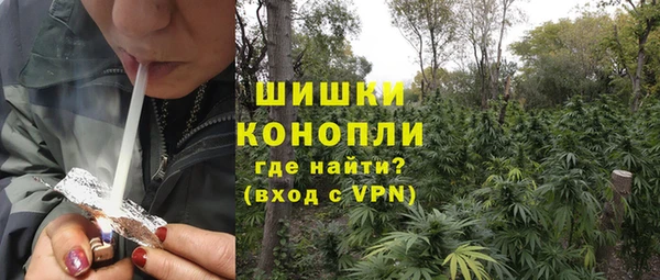 стафф Михайловск