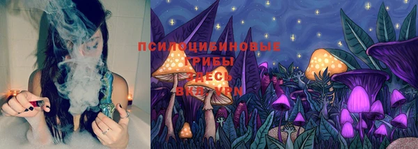 стафф Михайловск