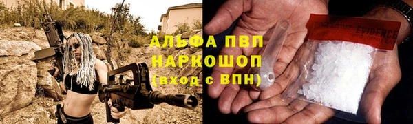 стафф Михайловск