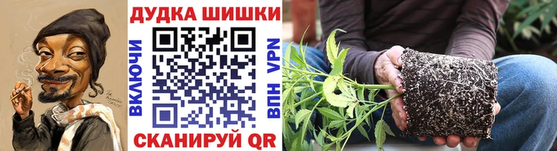 Конопля OG Kush  купить закладку  Гдов 